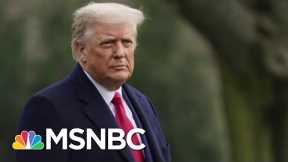 Fallout Continues From Trump’s Call With Georgia Official | The 11th Hour | MSNBC