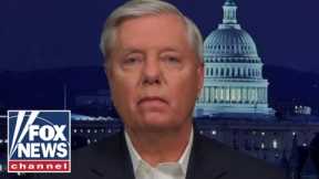 Lindsey Graham reacts to being swarmed by Trump supporters in airport