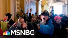Beschloss: This Was A Terrorist Attack Initiated By Trump | The 11th Hour | MSNBC
