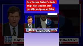 Tucker’s epic segment on possible bird dropping on Biden #shorts