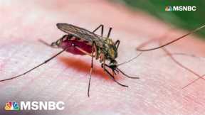 Two new cases of malaria found in Florida