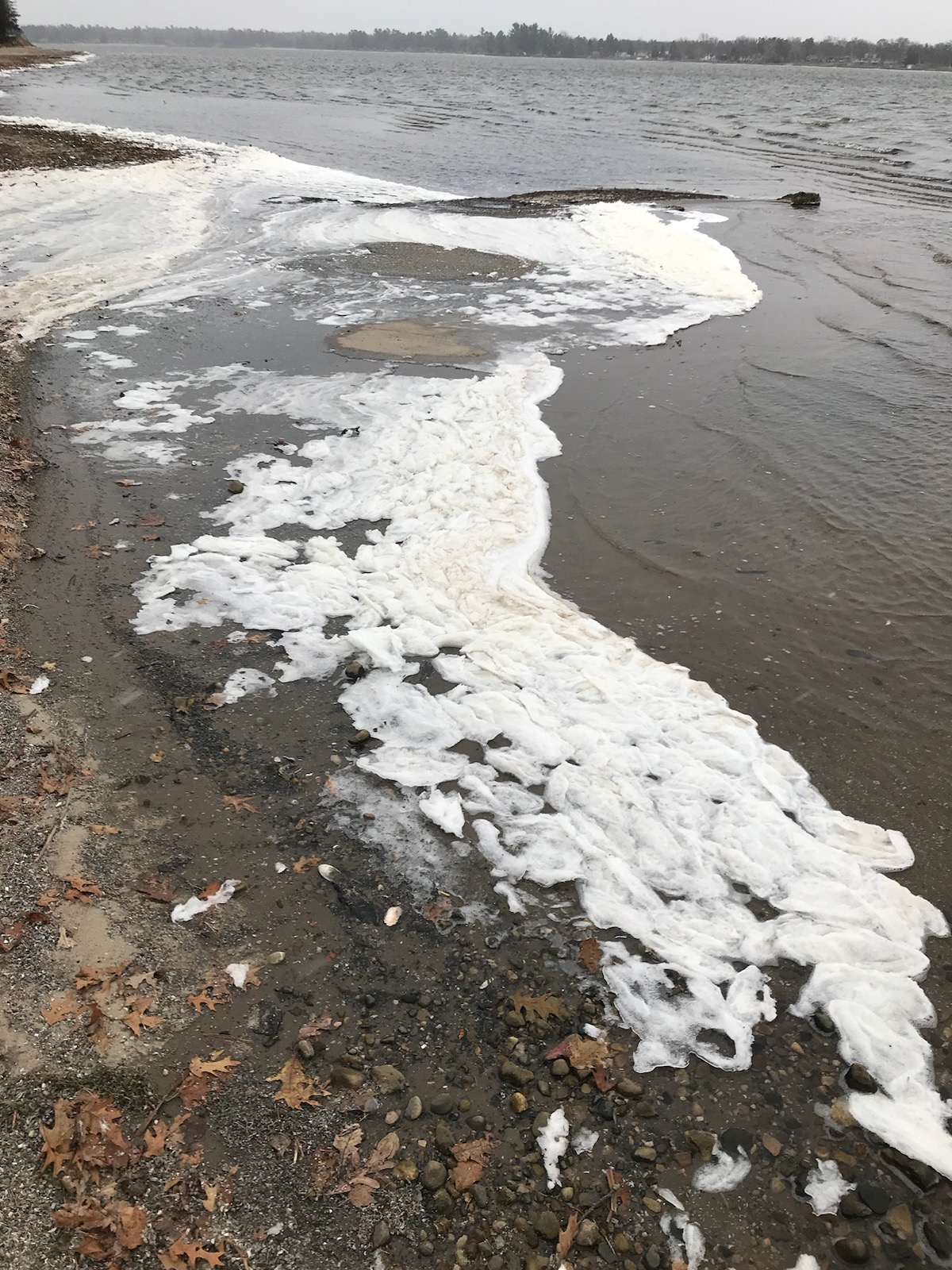 White, frothy foam collects at the shore of a lake beneath an overcast sky. It highly resembles seafoam, but is in fact PFAS.