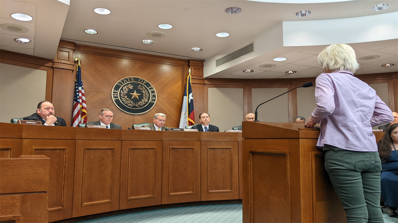 A photo of a woman standing at a podium, speaking to a group of people across from her at a dais.