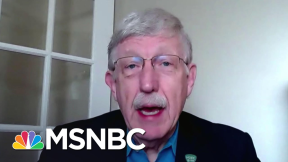 NIH Director: Politics Have 'Absolutely nothing To Do' with COVID-19 Vaccine Approval|MSNBC