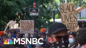 The State Of The Black Lives Matter Movement, And Its Future, Analyzed by Experts | MSNBC