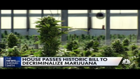 House passes bill to decriminalize cannabis, however it will not get past the Senate
