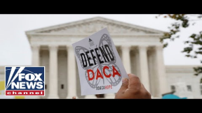 Federal court restores DACA program, orders DHS to start accepting new candidates