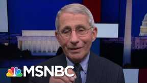 Fauci: Scientists Working On Therapies To Make Covid-19 Less Deadly | Rachel Maddow | MSNBC