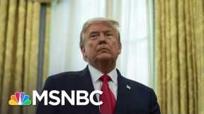 Trump Makes History As Only President Twice Impeached | The 11th Hour | MSNBC