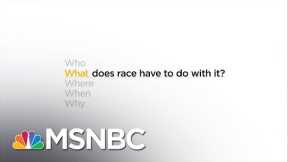 What Does Race Have To Do With It? | Joy Reid | MSNBC
