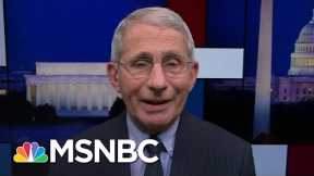 Fauci: Single Dose Vaccine Likely Only Two Weeks Away From FDA Application | Rachel Maddow | MSNBC
