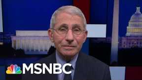 Dr. Fauci Actively Studying Lingering Effects Of Covid-19 | Rachel Maddow | MSNBC