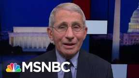 'Science Was Distorted & Rejected': Dr. Fauci On Working With Trump Admin | Rachel Maddow | MSNBC