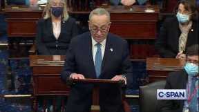 Sen. Chuck Schumer: This will be a stain on our country not so easily washed away.