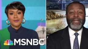 Terrorism Expert Fears Extremist Threat To Government Officials Could Remain | MSNBC