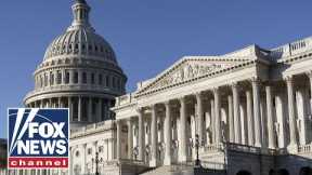 Group of GOP senators to object Electoral College certification, demand emergency audit