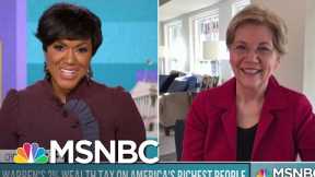 Elizabeth Warren Calls On Senate Republicans To ‘Step Up’ And Vote for COVID Relief | MSNBC