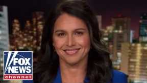 Tulsi Gabbard rips 'mind blowing' House rule changes banning gendered language