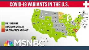 Virus Expert: We're At War With 'Dangerous' Covid Variants | The 11th Hour | MSNBC