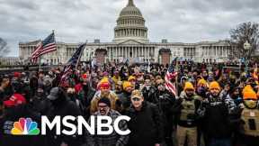 Capitol Riot Hearing Shows Domestic Terrorism Is Alive And Well In U.S. | The 11th Hour | MSNBC