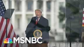 New Reporting Shows White House Role In Directing Trump Mob To Capitol | Rachel Maddow | MSNBC