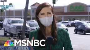 Florida Turns To Private Sector For Vaccine Rollout Help | MSNBC
