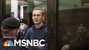'Vladimir The Underpants Poisoner': Navalny Belittles Putin At Court Sentencing | Rachel Maddow
