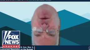 Lawmaker appears upside down on zoom during House hearing