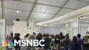 President Biden Faces Challenge From Surge Of Migrants | Morning Joe | MSNBC