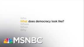 What does democracy look like? | Jon Meacham | MSNBC