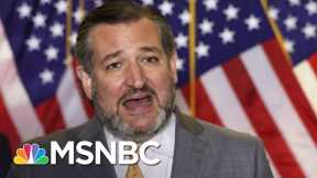 Cruz Ignores CDC Guidelines Talking To Press Without A Mask | The 11th Hour | MSNBC