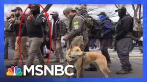 Experts Analyze New Information on Oath Keepers, Proud Boys Linked to Capitol Insurrection | MSNBC
