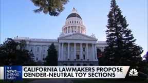 California considers a law that proposes gender-neutral toy sections