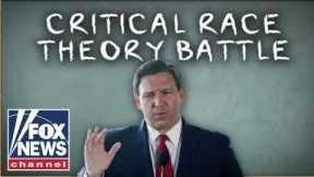 Ron DeSantis bans 'critical race theory' from Florida classrooms