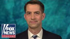Tom Cotton: Biden immigration policy is 'recruit and release'
