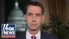 Tom Cotton to introduce bill banning 'critical race theory' in military