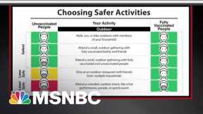 The CDC's New Outdoor Mask Guidance Explained | The 11th Hour | MSNBC