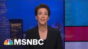 One Unruly Squirrel On A Friday Night Bender And... | Rachel Maddow | MSNBC