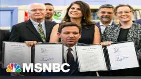 Rep. Charlie Crist Says New Florida Voting Law “Doesn’t Make Any Sense Whatsoever” | MSNBC