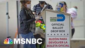 Republicans Fear New Voting Restrictions Could Backfire On Their Own Voters | Rachel Maddow | MSNBC