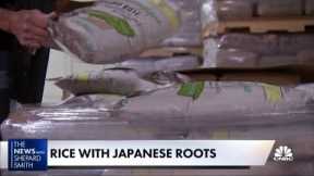 Rice that has Japanese roots