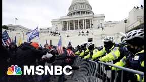 Don't Call It Trump's Big Lie. It's An Attack On America | MSNBC