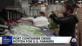 Port container crisis creates rotten fruit for U.S. farmers