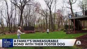 A family's immeasurable bond with their foster dog