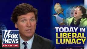 Tucker: We must dismantle all systems of bird-supremacy