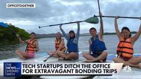 Tech startups ditch office for extravagant bonding trips