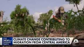 Climate change contributes to Central American migration as Biden administration tries to stem surge