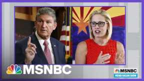 Mehdi Hasan Asks If Democrats Are Up To Protect Voting Rights | MSNBC