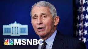Conservatives Intensify Attacks On Dr. Fauci