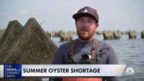 America faces an oyster shortage